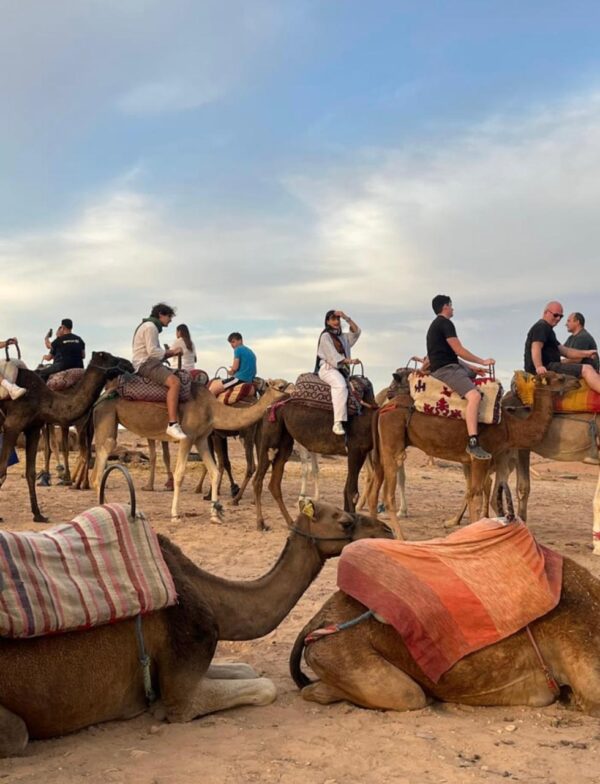 Agafay Desert Dinner Show With Camel Rides. - Image 7