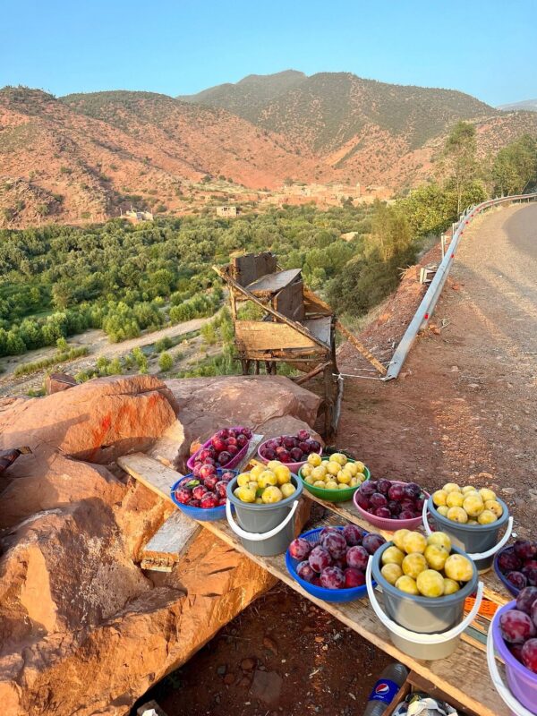 Ourika Valley's - Image 10