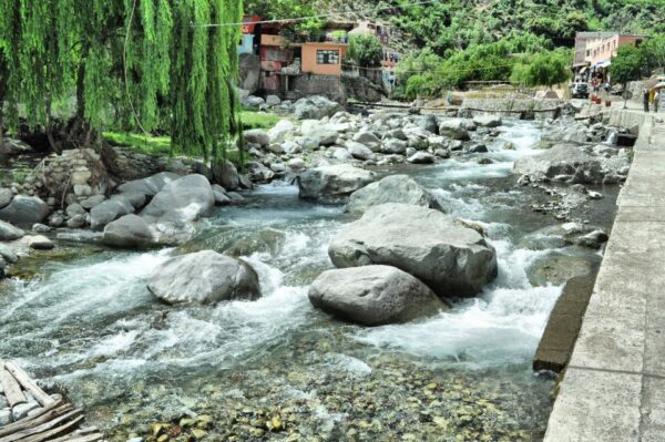 Ourika Valley's - Image 16