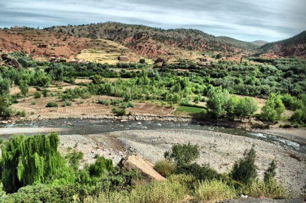 Ourika Valley's - Image 20