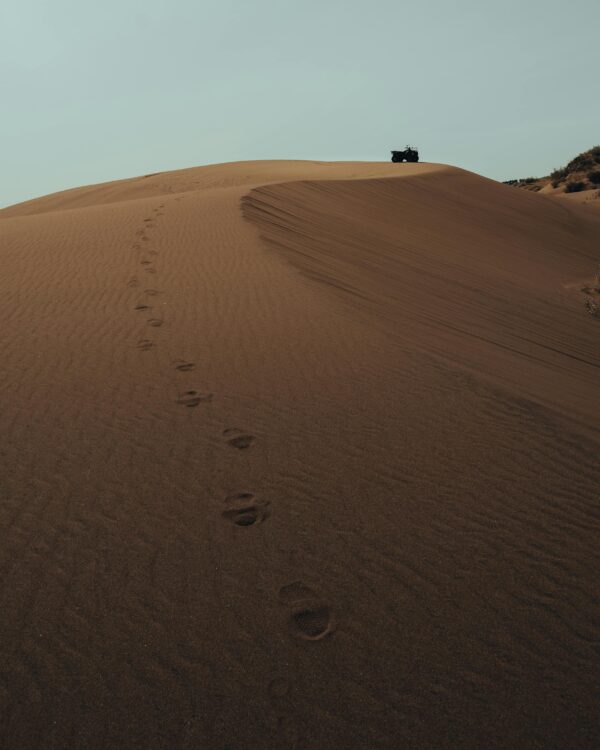 Merzouga 3Days Desert Safari - Image 5