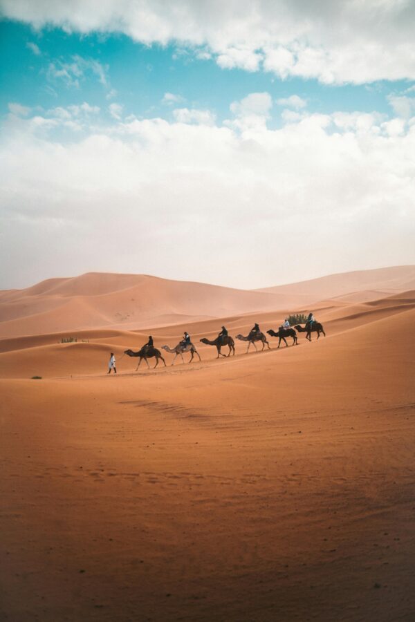 Merzouga 3Days Desert Safari - Image 10