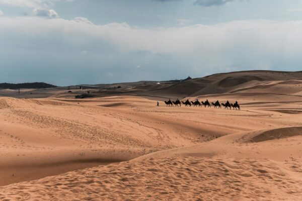 From Marrakech: 3-Day Desert Tour to Fes - Image 3