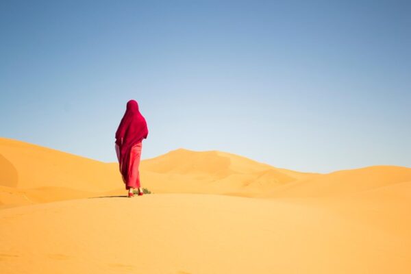 From Marrakech: 3-Day Desert Tour to Fes - Image 4