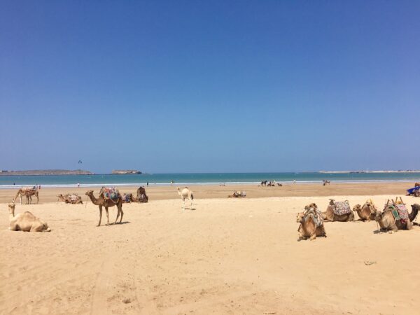 Essaouira City - Image 3