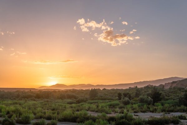 From Marrakech: 3-Day Desert Tour to Fes - Image 6