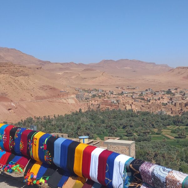 From Marrakech: 3-Day Desert Tour to Fes - Image 16