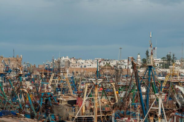 Essaouira City - Image 10